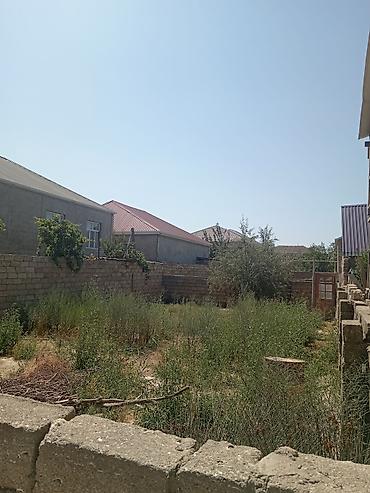 torpax: 2 sot, Mülkiyyətçi, Kupça (Çıxarış) — 8