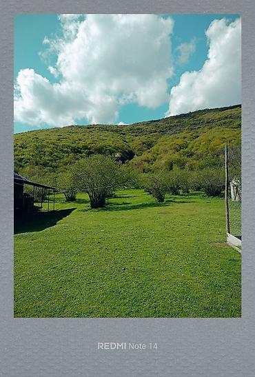 qubada torpaq sahesi satilir: Kənd təsərrüfatı — 1