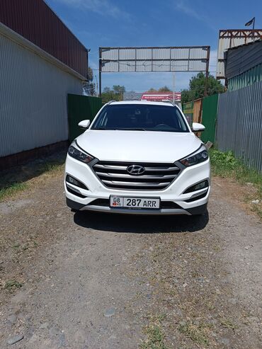 Hyundai: Hyundai Tucson: 2017 г., 2 л, Автомат, Дизель, Внедорожник