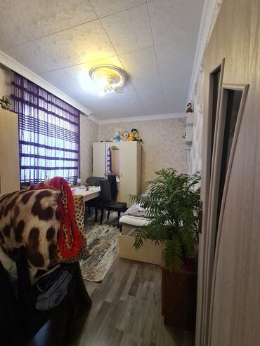 Həyət evləri və villaların satışı: 4 otaqlı, 2 kv. m, Kredit var, Yeni təmirli -da lalafo.az — 26 Həyət evləri və villaların satışı: 4 otaqlı, 2 kv. m, Kredit var, Yeni təmirli — 26