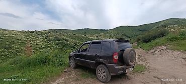 арзан нива: Chevrolet Niva: 2006 г., 1.7 л, Механика, Бензин, Кроссовер — 3