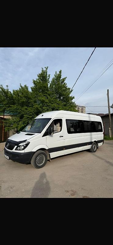 rex sprinter: Пункт назначения: Все направления, Количество мест: 18, Лицензия №: 08B006116 — 1