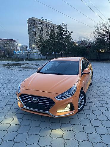 Hyundai: Hyundai Sonata: 2019 г., 2 л, Автомат, Газ, Седан — 2