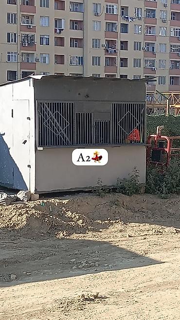 armaturun cekisi: AYNUR 2💃 *1500 azn* zigdadir içi qaliin 32 lik armaturla yigilib 10 x — 1