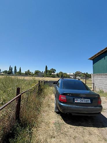 все для мойки: Audi A4: 1995 г., 1.8 л, Механика, Бензин, Седан — 4