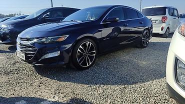go park: Chevrolet Malibu: 2018 г., 1.5 л, Типтроник, Бензин, Седан — 4