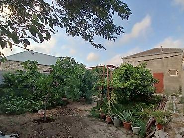 kremlyovski yolka: 4 комнаты, 130 м², Нет кредита, Свежий ремонт — 4