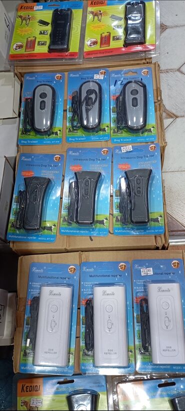 İtlər: 10 il, Dişi, Pulsuz çatdırılma, Ödənişli çatdırılma, Rayonlara çatdırılma -da lalafo.az — 10 İtlər: 10 il, Dişi, Pulsuz çatdırılma, Ödənişli çatdırılma, Rayonlara çatdırılma — 10