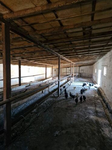 Uzunmüddətli kirayə mənzillər: Nizami Rayonu, Xalqlar dostluğu, Körpü ticarət mərkəzinin yanında — 7