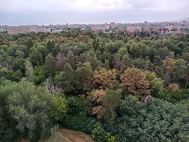 Продажа квартир: 4 комнаты, 115 м², Элитка, 11 этаж, Дизайнерский ремонт — 26