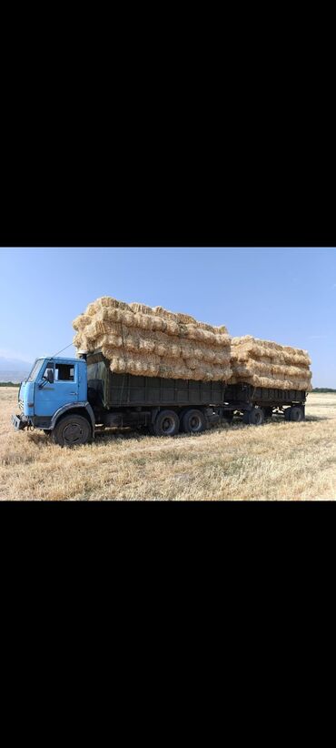 возьму собаку в добрые руки: Сено 140сом . Ивановка.
500тюков