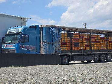 hiab 250: Тягач, Volvo, Шторный — 6
