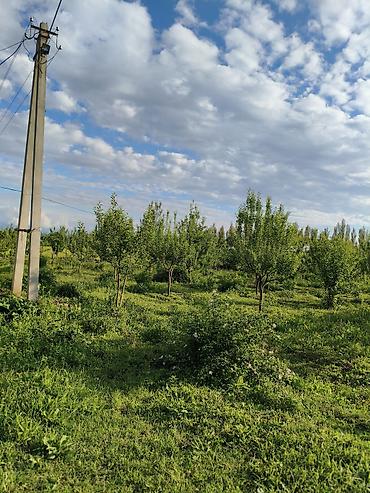 кант участок: 100 соток, Для бизнеса, Генеральная доверенность — 5
