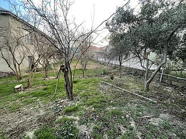 iceri seher: 4 sot, Tikinti, Mülkiyyətçi, Kupça (Çıxarış), Texniki pasport — 4