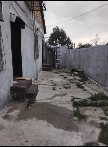 Həyət evləri və villaların satışı: M.Ə. Rəsulzadə qəs. 4 otaqlı, 330 kv. m, Təmirsiz -da lalafo.az — 13 Həyət evləri və villaların satışı: M.Ə. Rəsulzadə qəs. 4 otaqlı, 330 kv. m, Təmirsiz — 13