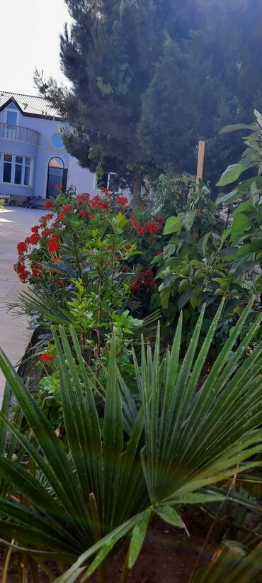 Həyət evləri və villaların satışı: Bilgəh qəs. 5 otaqlı, 200 kv. m, Kredit yoxdur, Yeni təmirli — 21