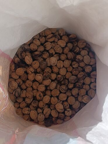 куплю орехи грецкие: Продам грецкие орехи 3 вида сорта большие средние и маленькие сорты