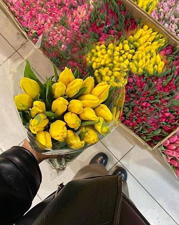 Букеты из живых цветов: Тюльпаны срезанные, свежие, прямые поставки. - Ассортимент — 5