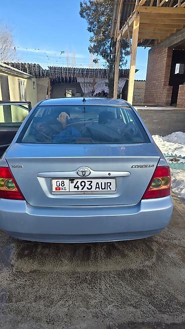 Toyota: Toyota Corolla: 2006 г., 1.8 л, Механика, Бензин, Седан — 11