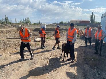 Бетонные работы: Опалубки, Фундамент, Стяжка Гарантия, Бесплатная консультация, Монтаж Больше 6 лет опыта — 11