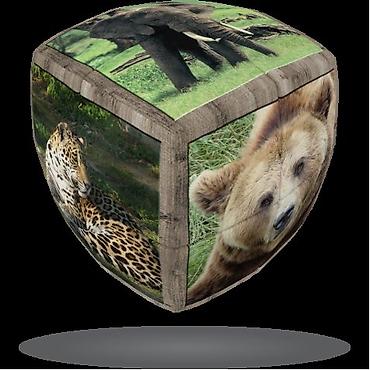 головоломки: Греческая компания v-cube ™ успешно конкурирует на международной арене — 7