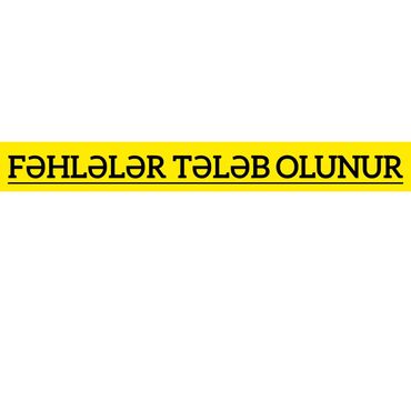 Fəhlələr: Fəhlə tələb olunur, 6/1, Həftəlik ödəniş