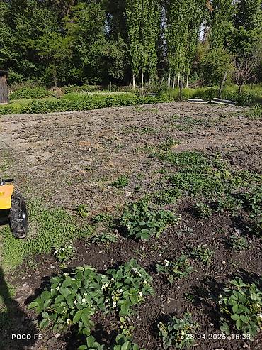 Другие услуги: Спашка огорода С дизельный мотоблок и бензиновый Цена договорная — 3