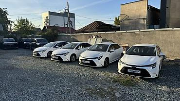 жили машина: Toyota Corolla: 2022 г., Гибрид, Седан — 4