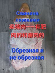 пластиковые столы и стулья бишкек: Свинина : Более 10 кг, Бесплатная доставка