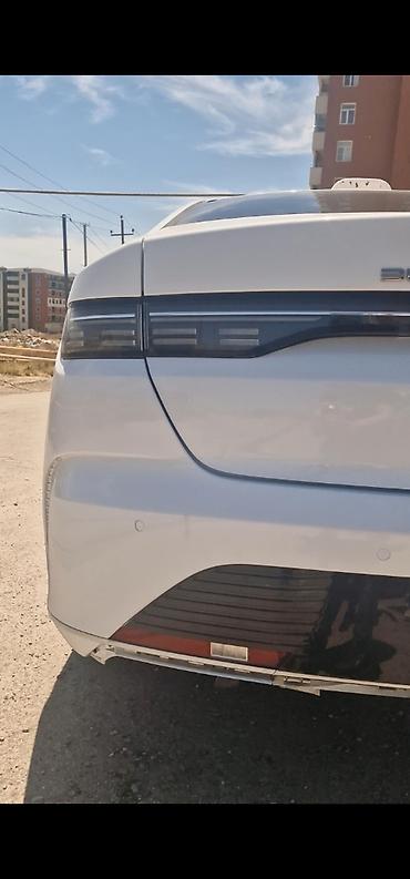 byd destroyer 05 ehtiyat hissələri: Arxa, BYD Destroyer 05 — 1