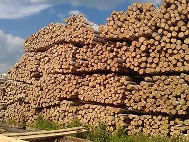 ЕвразМеталлКомплект реализует продукцию Балансы лиственные (балансы at lalafo.kg ЕвразМеталлКомплект реализует продукцию Балансы лиственные (балансы