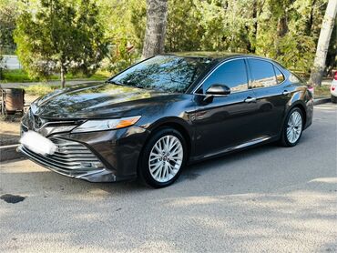 мотоциклы альфа: Toyota Camry: 2020 г., 2.5 л, Типтроник, Бензин, Седан