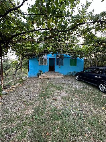 Torpaq sahələrinin satışı: 22 sot, Mülkiyyətçi, Bələdiyyə — 7