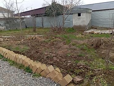 Həyət evləri və villaların satışı: 6 otaqlı, 680 kv. m, Kredit yoxdur, Orta təmir — 12