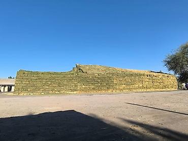 Корма для с/х животных: Сено люцерны в тюках - 3-й укос: мягкое и питательное - Сухое и — 8