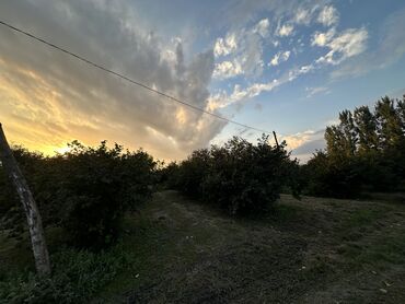 sabunçu torpaq: 100 sot, Kənd təsərrüfatı, Mülkiyyətçi, Kupça (Çıxarış)