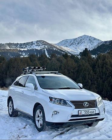 rx 2017: Lexus RX: 2014 г., 3.5 л, Бензин, Универсал — 1