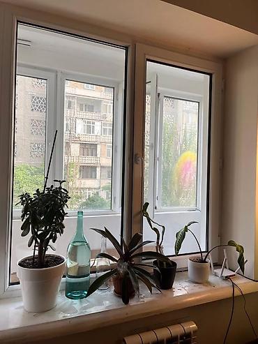 10 мкр по улице Малдыбаева 12/1 Сдается 1ком квартира Этаж: 3/12 at lalafo.kg 10 мкр по улице Малдыбаева 12/1 Сдается 1ком квартира Этаж: 3/12