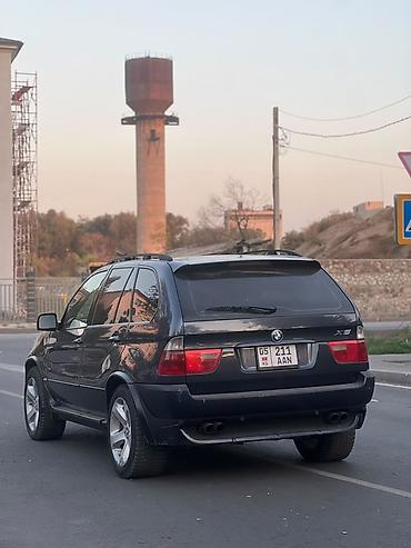 bis vip: BMW X5: 2004 г., 4.4 л, Автомат, Бензин, Кроссовер — 5