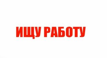 тачка дордой: Продавец-консультант, Без опыта, Студент