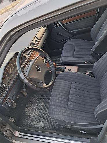 дерево на мерс 124: Mercedes-Benz W124: 1990 г., 2.3 л, Механика, Бензин, Седан — 7