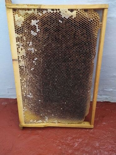 соль для животных: Продаю пчеловодную суш. Рамки с медом по 160 отдам