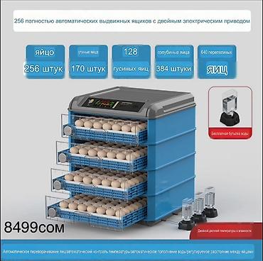 Оборудование для производства: Инкубаторы с двойным электроприводом и полностью автоматическим — 4
