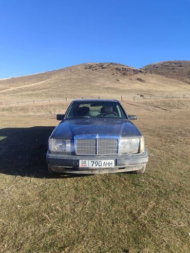 Mercedes-Benz: Mercedes-Benz W124: 1989 г., 2.3 л, Механика, Бензин, Седан