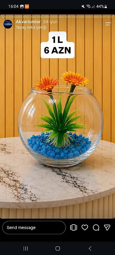 akvarium balıqlar: Yumru akvarium, Boş, 1 l — 2