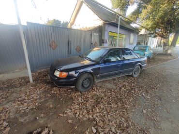 арзан машина венто: Audi 100: 1992 г., 2.6 л, Механика, Газ, Седан