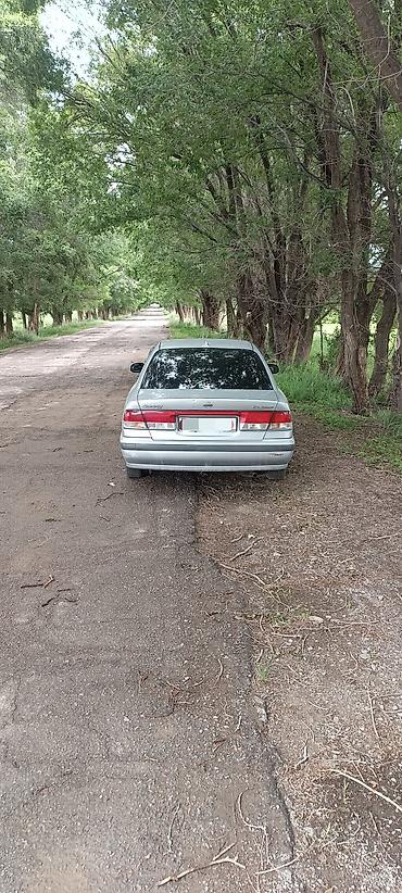 e klass: Nissan Sunny: 2001 г., 1.5 л, Автомат, Бензин, Седан — 4