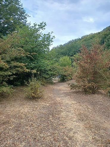 Torpaq sahələrinin satışı: 170 sot, Biznes üçün, Mülkiyyətçi, Kupça (Çıxarış) — 4