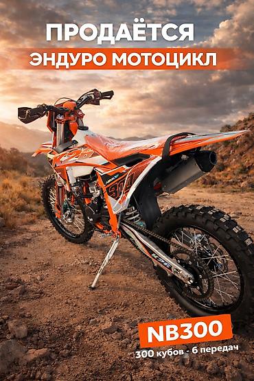 Мотоциклы: Эндуро 300 куб. см, Бензин, Взрослый — 1