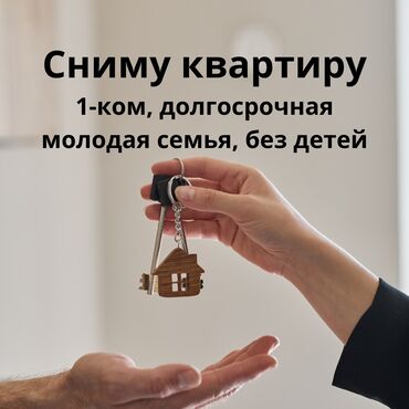 Сниму квартиру: 1 комната, 40 м², С мебелью